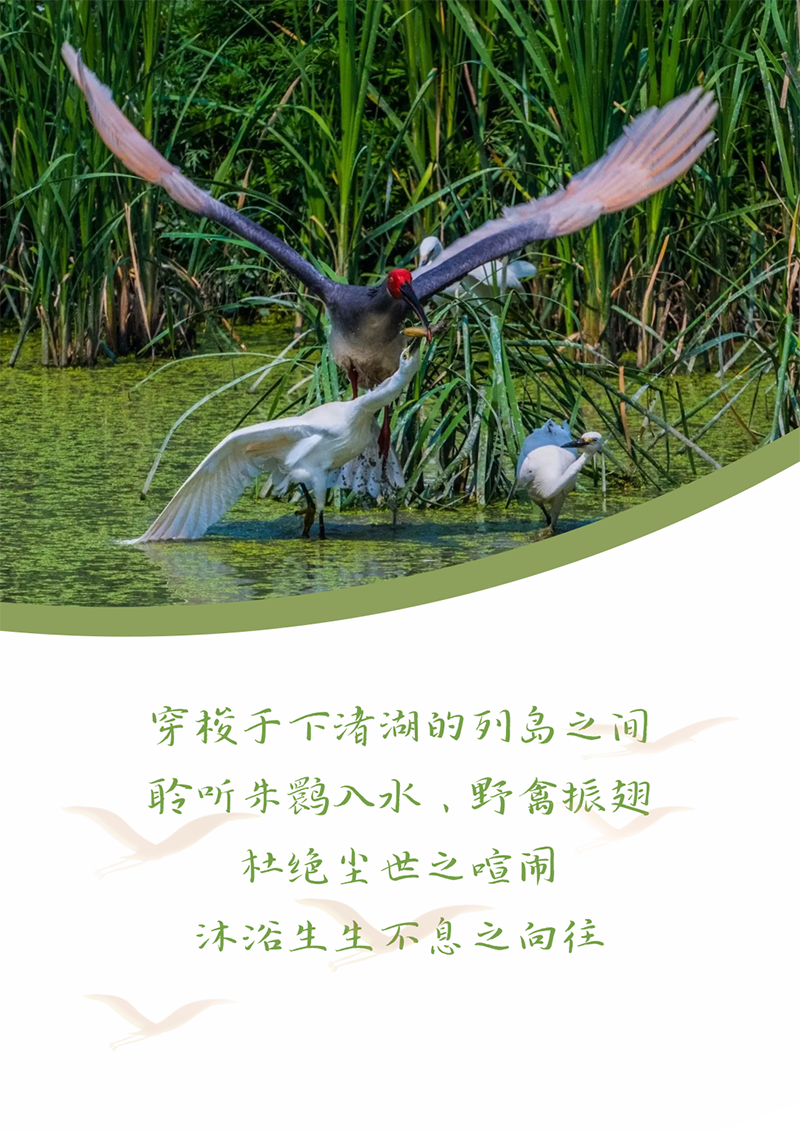 心心念廿 相伴CA88 | 与德清相约 贺廿载诞辰